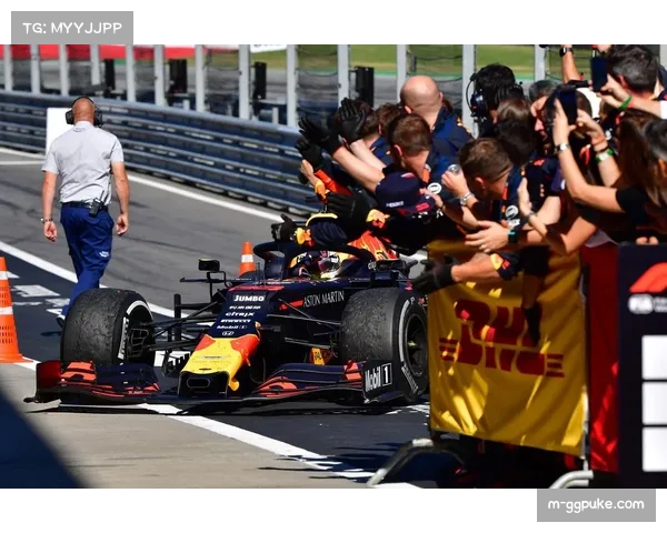 美国大奖赛维斯塔潘夺冠 红牛车队战术执行完美